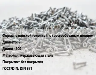 Шуруп с плоской головкой, с крестообразным шлицем 5х100 нержавеющая сталь без покрытия ГОСТ: DIN 571